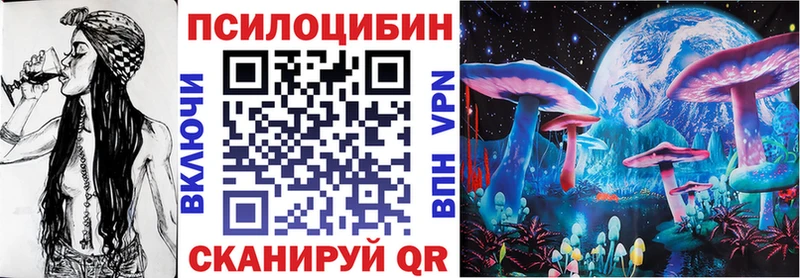 Купить  Суджа  Галлюциногенные грибы ЛСД 